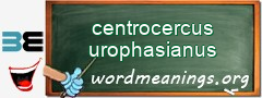 WordMeaning blackboard for centrocercus urophasianus